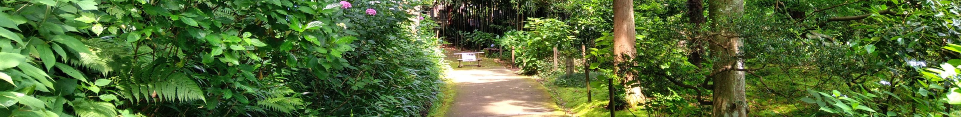 COMPANY-border-image