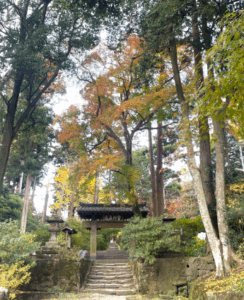 寺院の手入れ